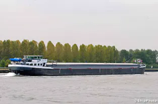 Wilina
